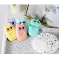 Cute Paper Soap Anti Virus